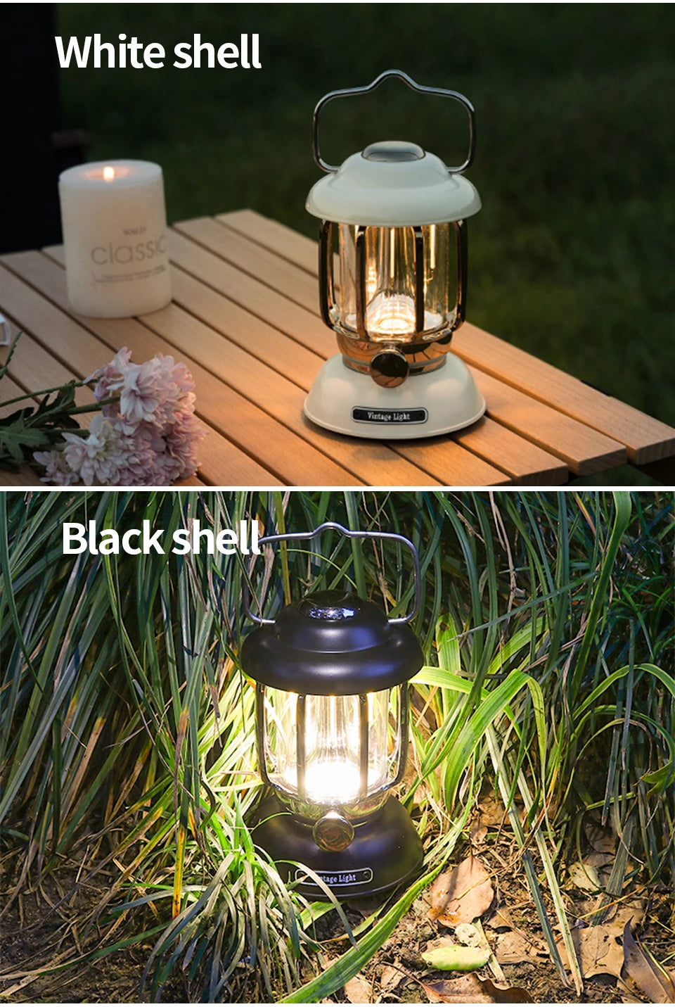 White and black lantern shells in outdoor scenes